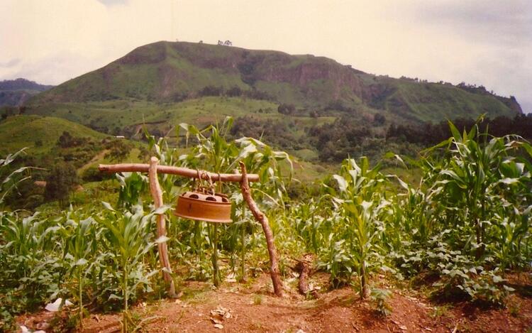 Typical Village scene 